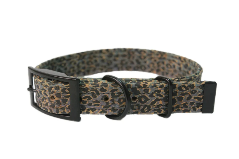Hundehalsband mit Dornschnalle | Korkleder | Umweltfreundlich | Robust & Vegan | Leo blau/schwarz