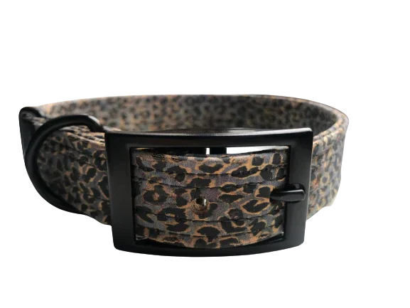 Hundehalsband mit Dornschnalle | Korkleder | Umweltfreundlich | Robust & Vegan | Leo blau/schwarz