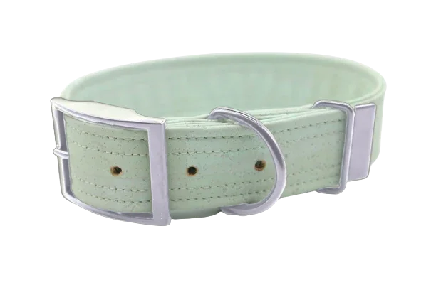 Hundehalsband mit Dornschnalle | Korkleder | Umweltfreundlich | Robust & Vegan | Mint/Silber