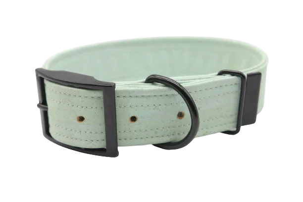 Hundehalsband mit Dornschnalle | Korkleder | Umweltfreundlich | Robust & Vegan | Rainbowglimmer/Schwarz
