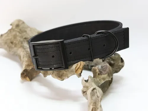 Hundehalsband mit Dornschnalle | Korkleder | Umweltfreundlich | Robust & Vegan | Schwarz/Schwarz