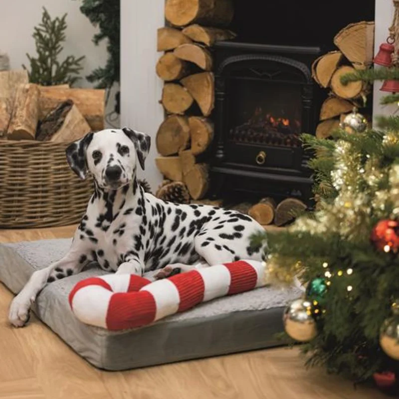 Hundespielzeug Candy Cane XXL