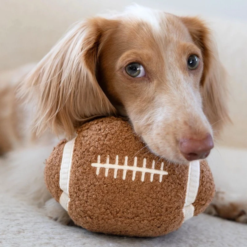Schnüffelspielzeug Football