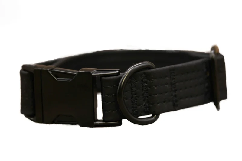 Hundehalsband mit Klickverschluss | Korkleder | Umweltfreundlich | Robust & Vegan | Schwarz/Schwarz