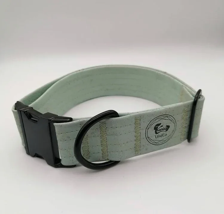 Hundehalsband mit Klickverschluss | Korkleder | Umweltfreundlich | Robust & Vegan | Mint/Schwarz