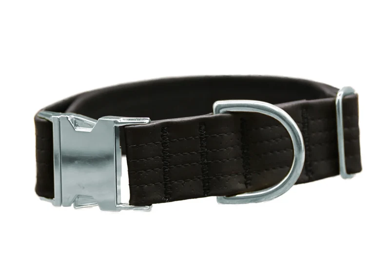 Hundehalsband mit Klickverschluss | Korkleder | Umweltfreundlich | Robust & Vegan | Schwarz/Silber