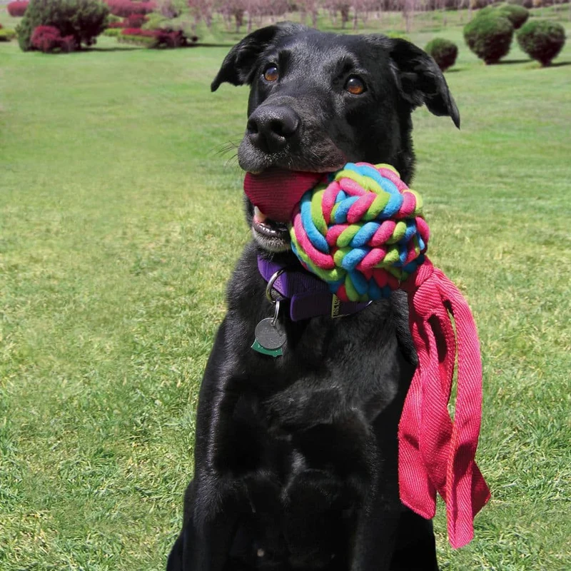 KONG - Wubba Weaves | Apportierspielzeug für Deinen Hund