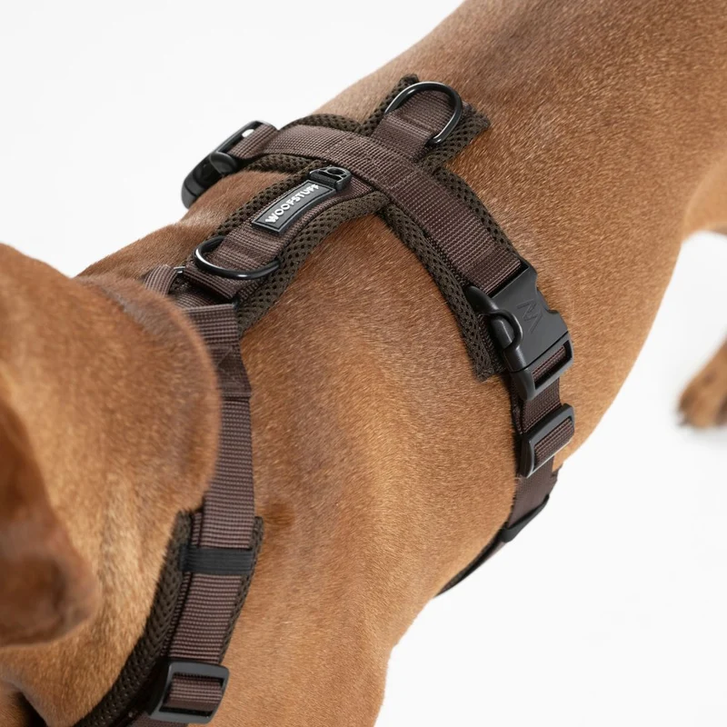 Y-Hundegeschirr Nova Chocolate
