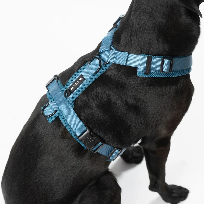 Y-Hundegeschirr Nova Petrol