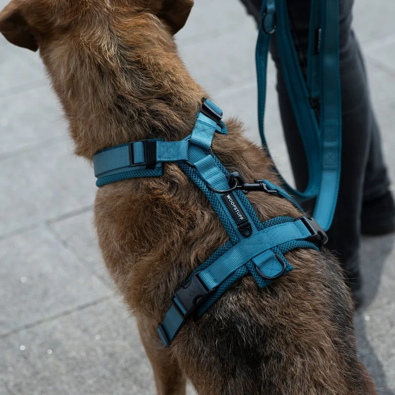 Y-Hundegeschirr Nova Petrol