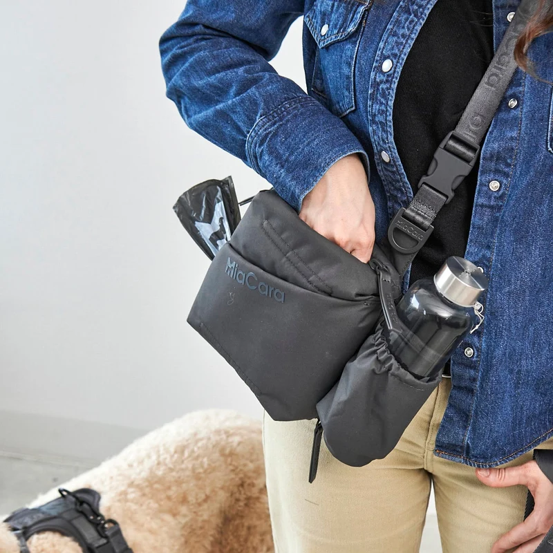 Andiamo Dog Walking bag