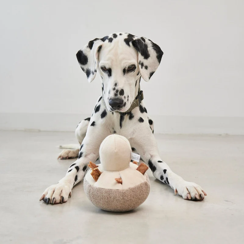 Foresta Snuffle Dog Toy
