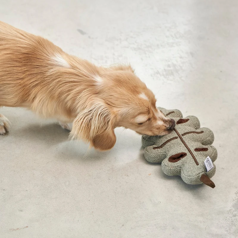 Foresta Snuffle Dog Toy