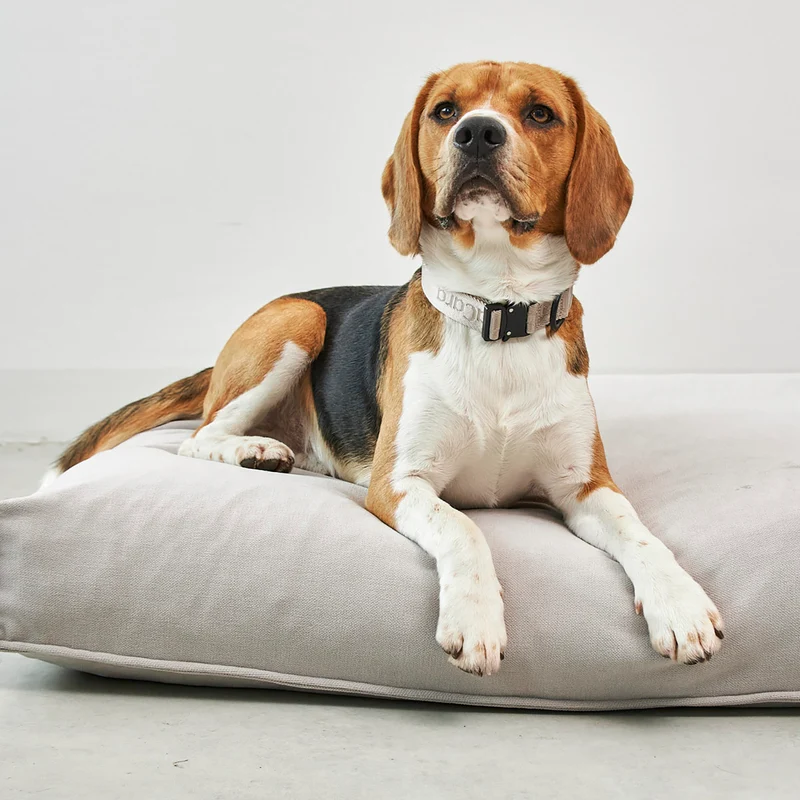 Comodo Dog Cushion