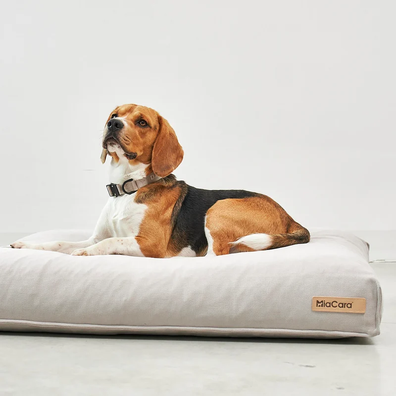 Comodo Dog Cushion