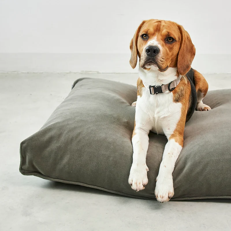 Comodo Dog Cushion