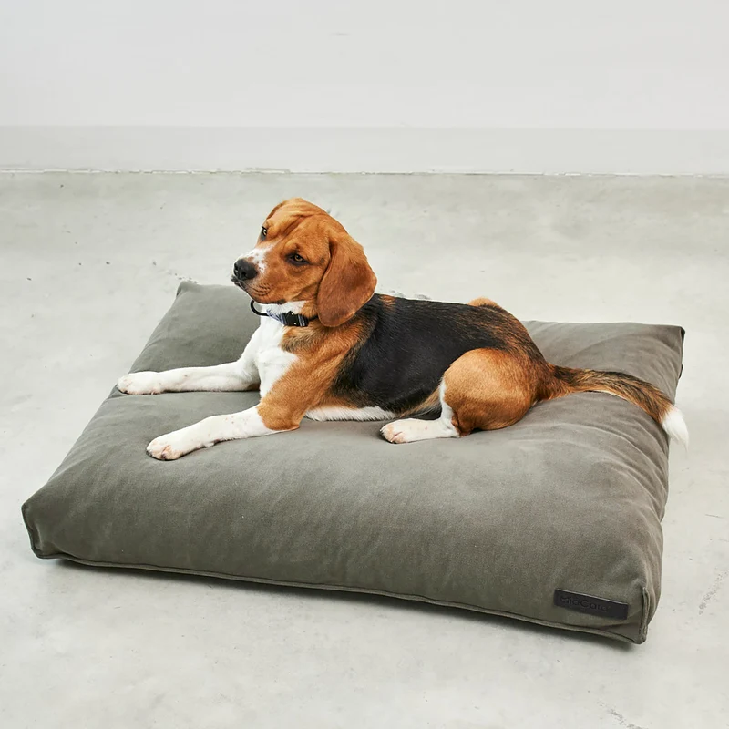 Comodo Dog Cushion