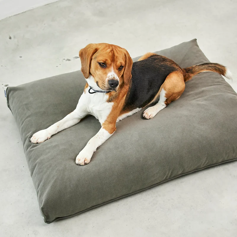 Comodo Dog Cushion