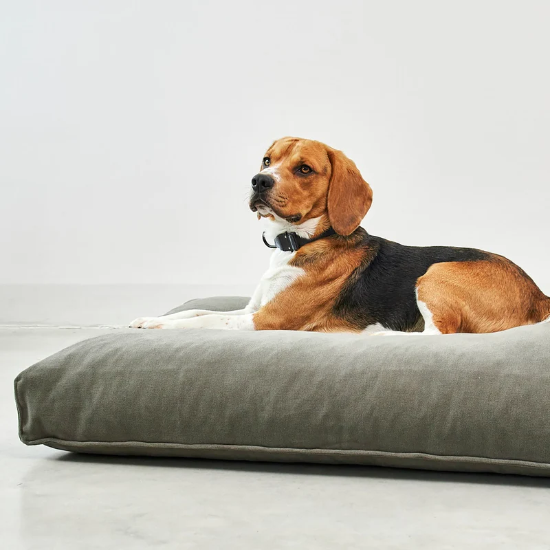 Comodo Dog Cushion