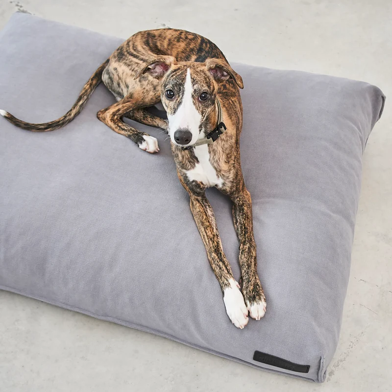 Comodo Dog Cushion