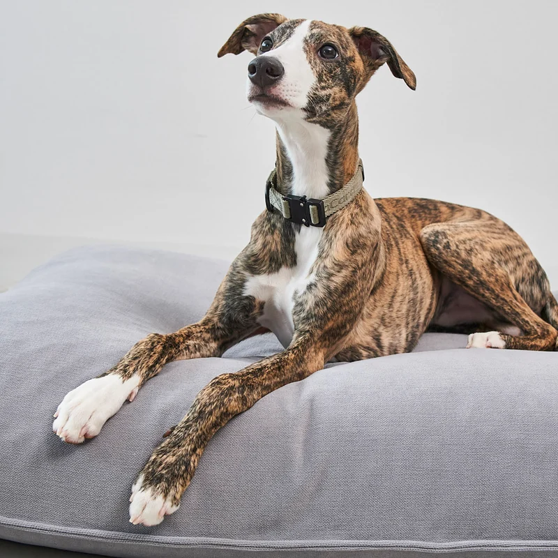 Comodo Dog Cushion