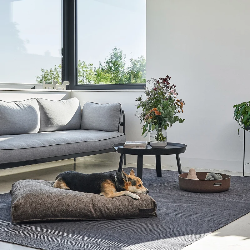Mondo Dog Cushion