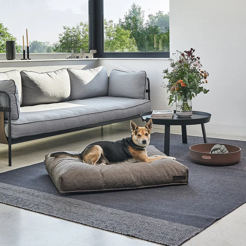 Mondo Dog Cushion