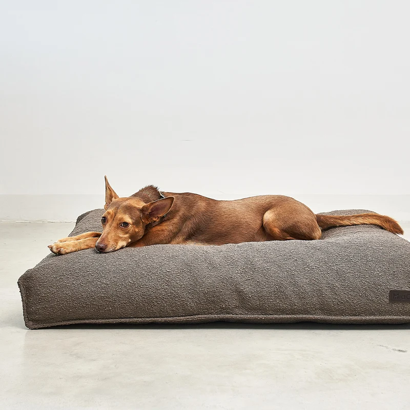 Mondo Dog Cushion