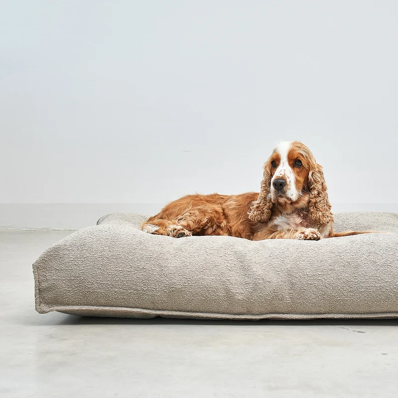 Mondo Dog Cushion