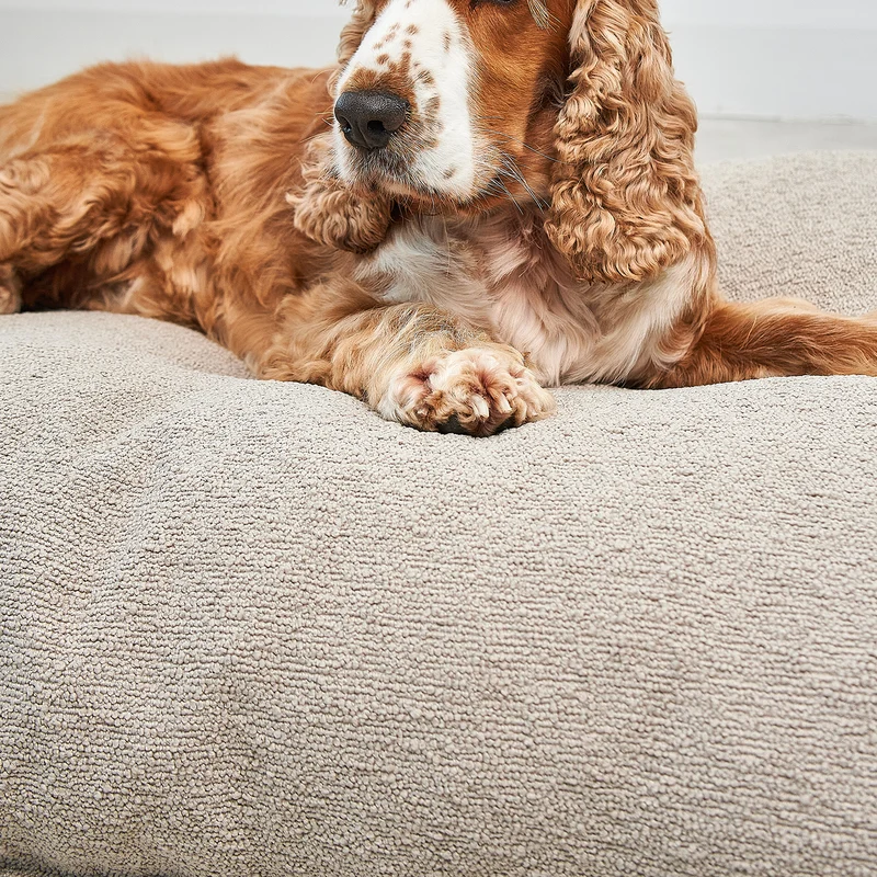 Mondo Dog Cushion