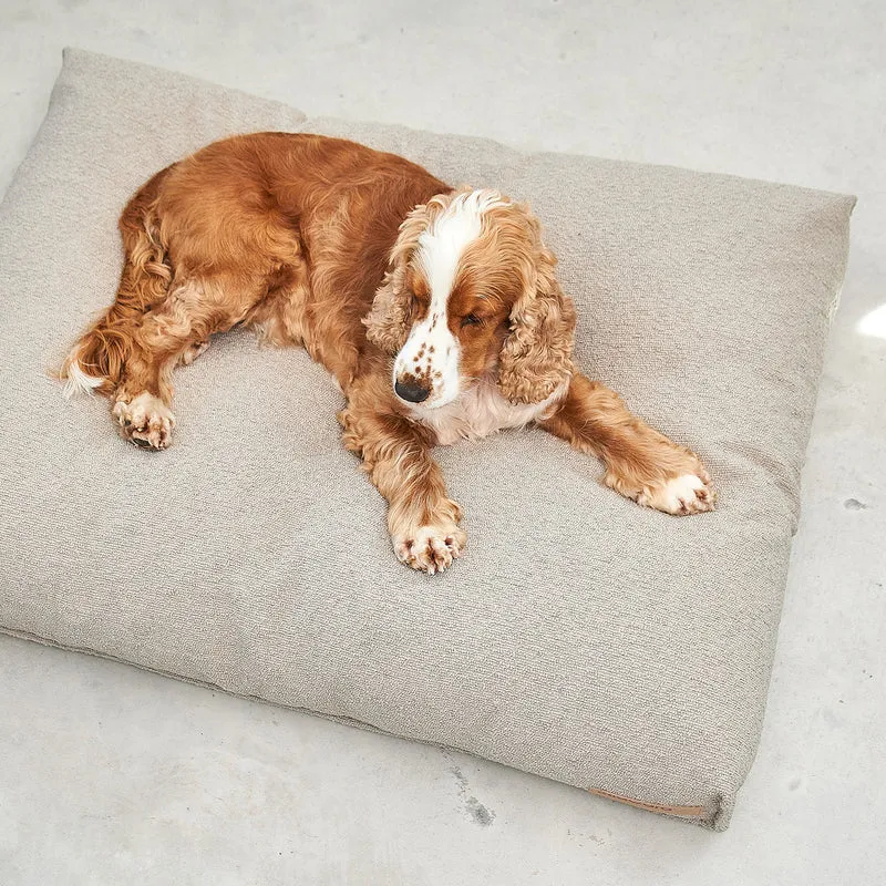 Mondo Dog Cushion
