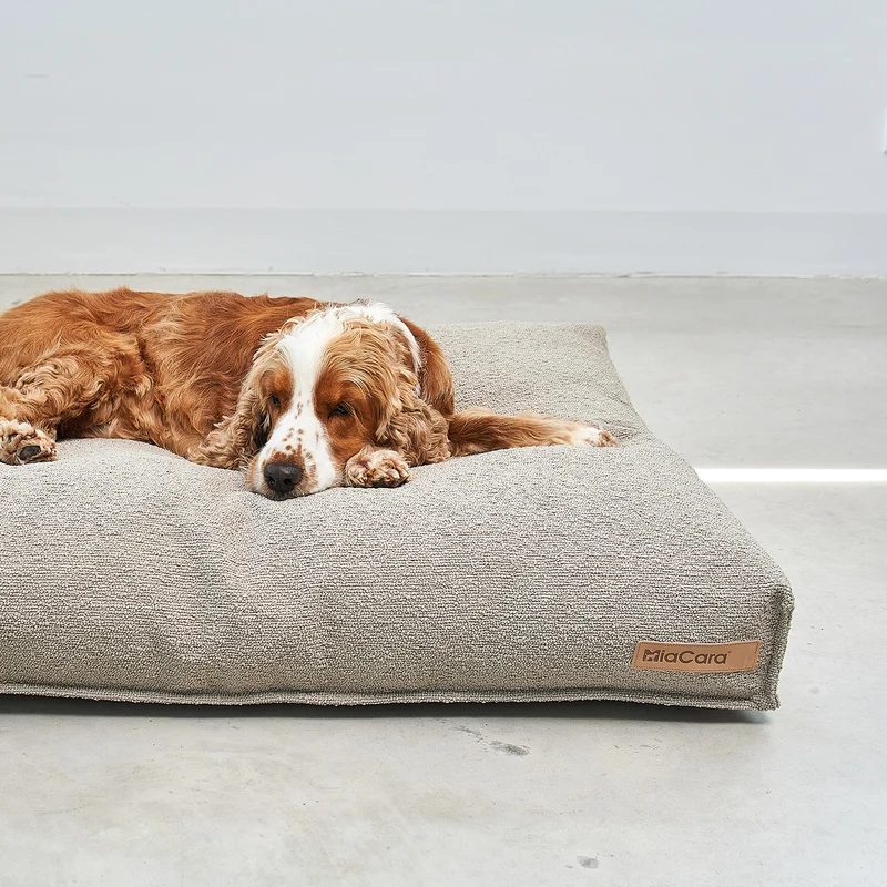 Mondo Dog Cushion