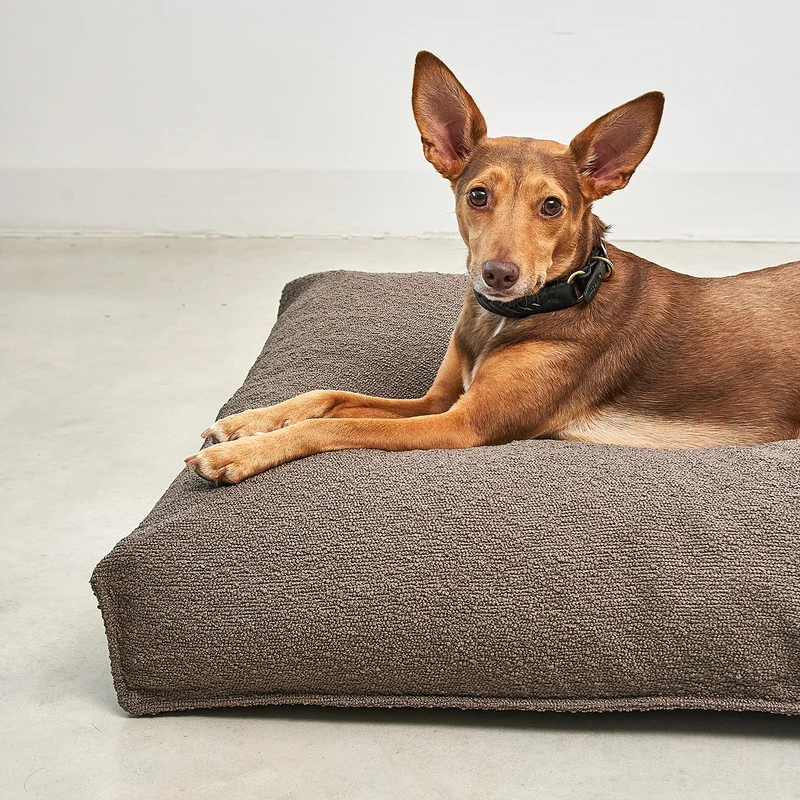 Mondo Dog Cushion