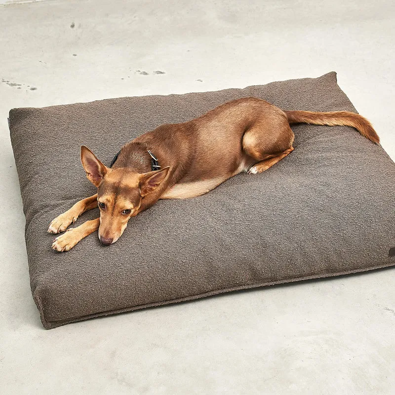 Mondo Dog Cushion