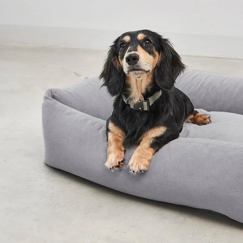 Comodo Box Dog Bed