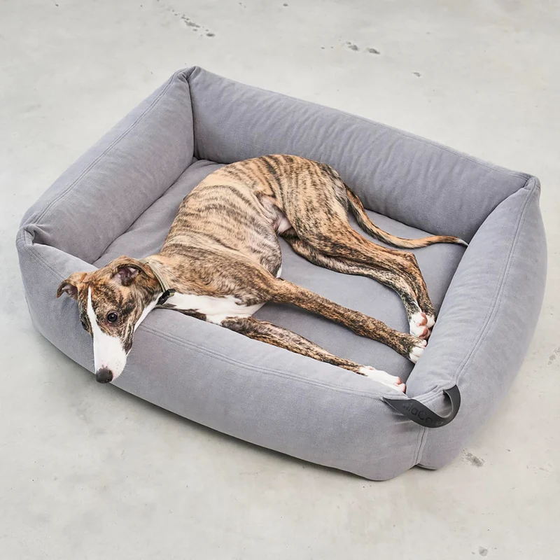 Comodo Box Dog Bed