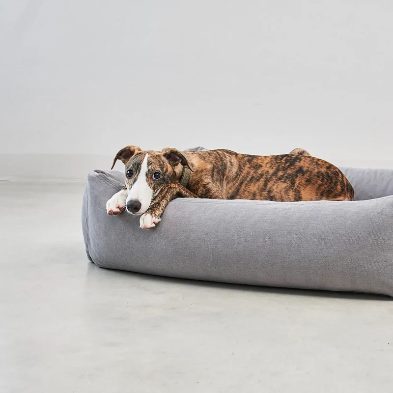 Comodo Box Dog Bed