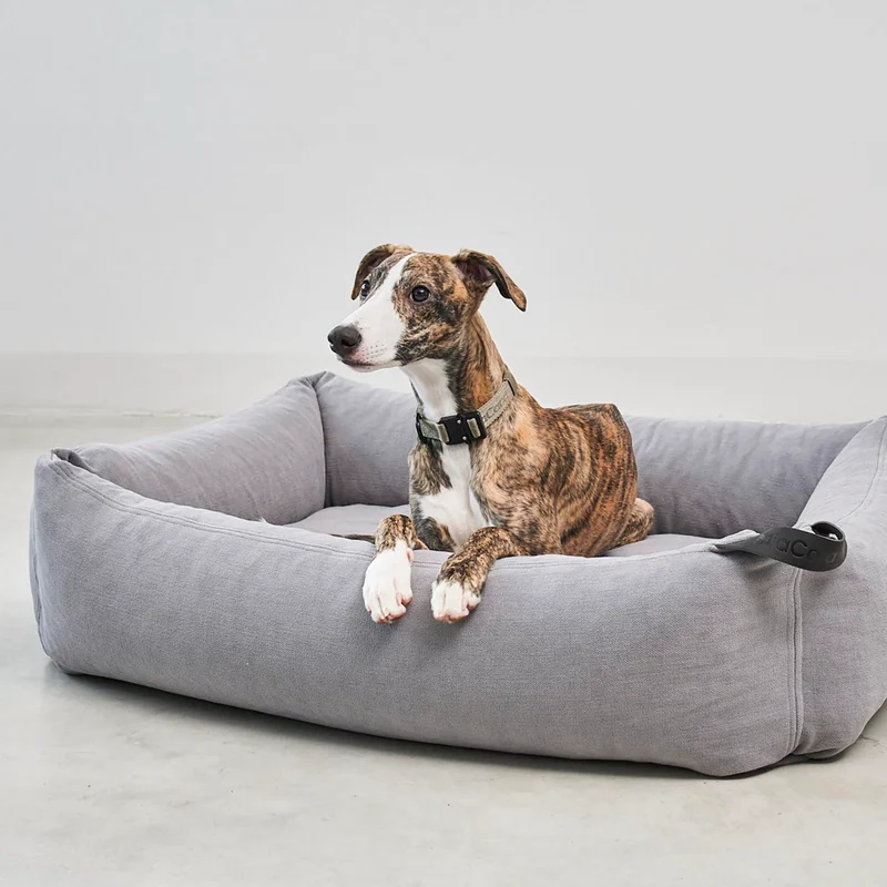 Comodo Box Dog Bed