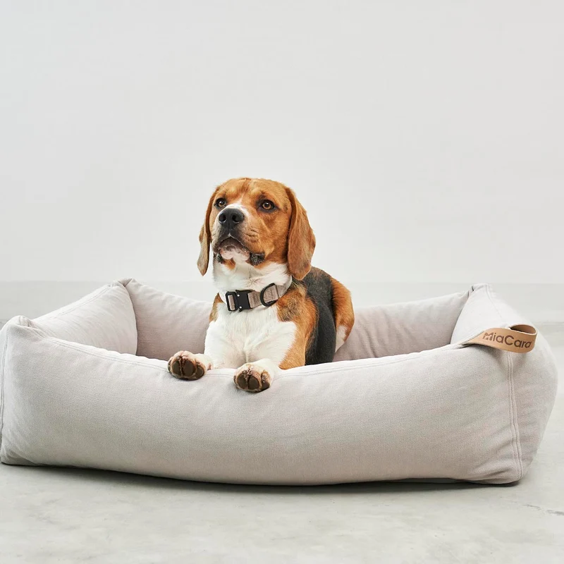 Comodo Box Dog Bed