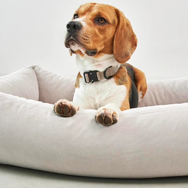 Comodo Box Dog Bed