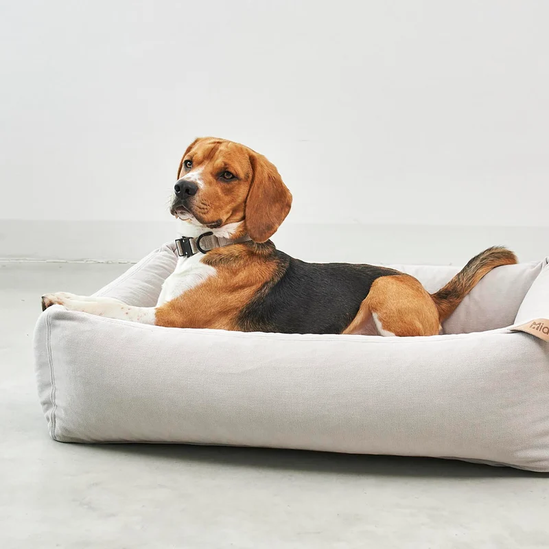 Comodo Box Dog Bed