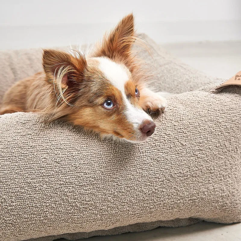 Mondo Box Dog Bed