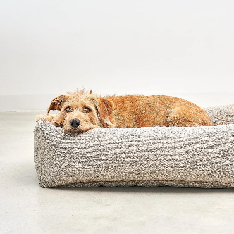 Mondo Box Dog Bed