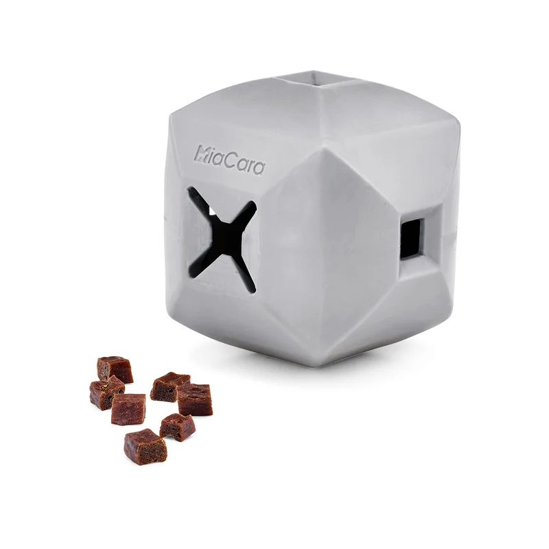 Dado Activity Dog Toy