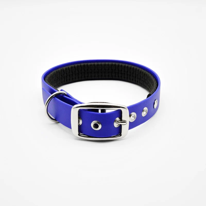 Hundehalsband aus BioThane®