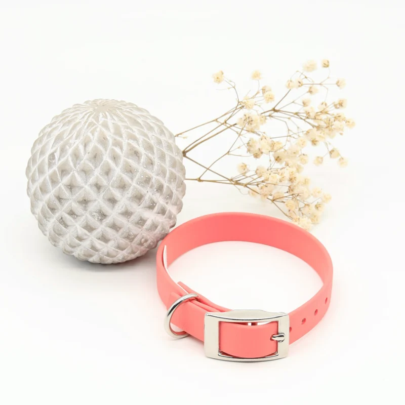 Hundehalsband aus BioThane®