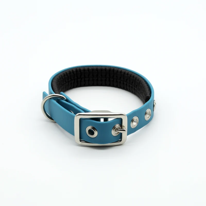 Hundehalsband aus BioThane®