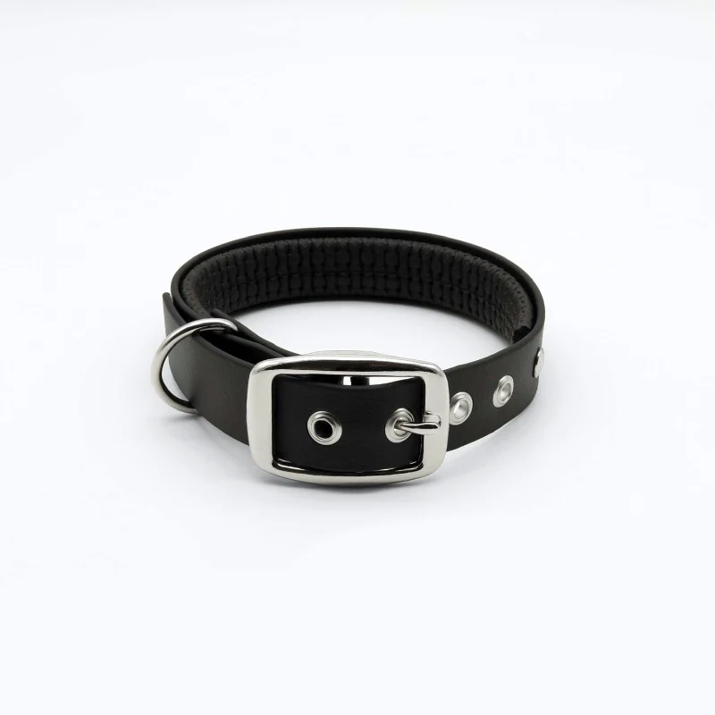 Hundehalsband aus BioThane®