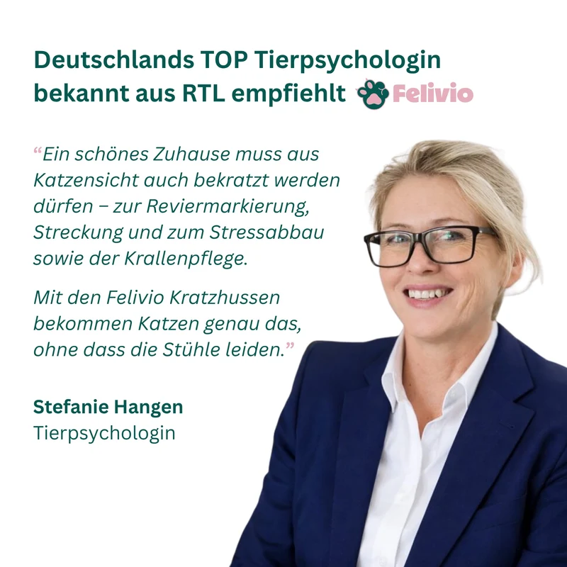 Premium Stuhlhusse mit integrierter Sisal Kratzmatte