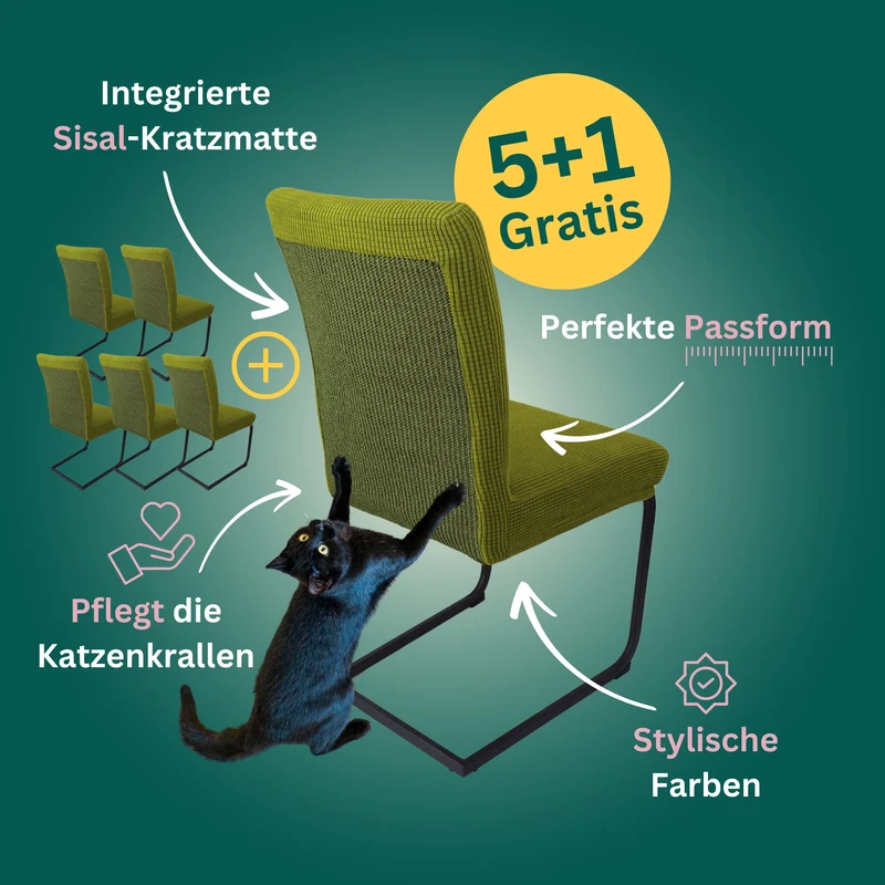 5+1 Gratis: Stuhlhusse mit Sisal Kratzmatte
